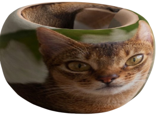 Chat d'Arnold